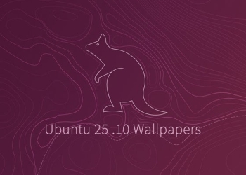 Ubuntu 25.10 系统 Questing Quokka 内置壁纸打包免费下载