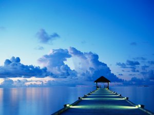 Dock（宁静湖畔）