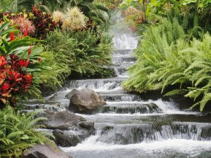 Waterfall（清流直下）