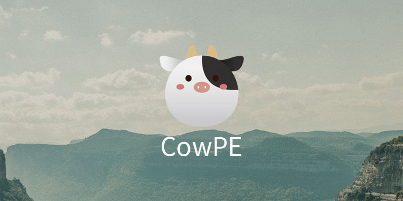 CowPE 维护版 21H2