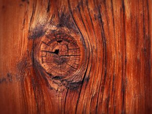 WOOD TEXTURE