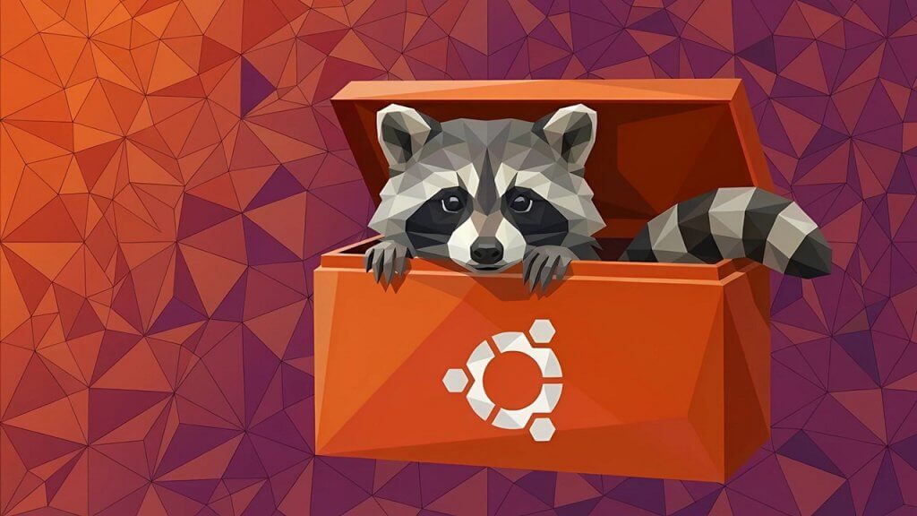 Raccoon out of Ubuntu Tool Box – @ndoki