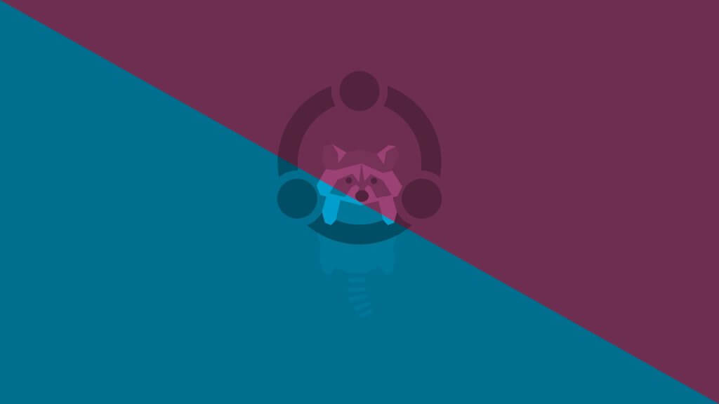 Simple Raccoon (Light_Dark) – @cnusr25